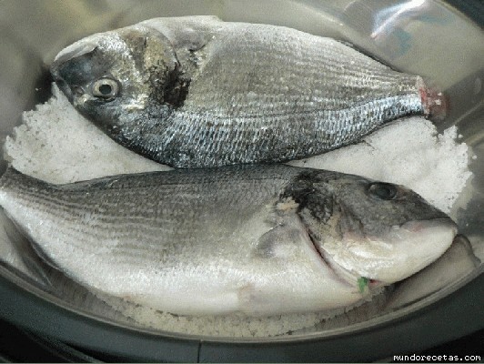 Dorada o Lubina a la Sal Thermomix