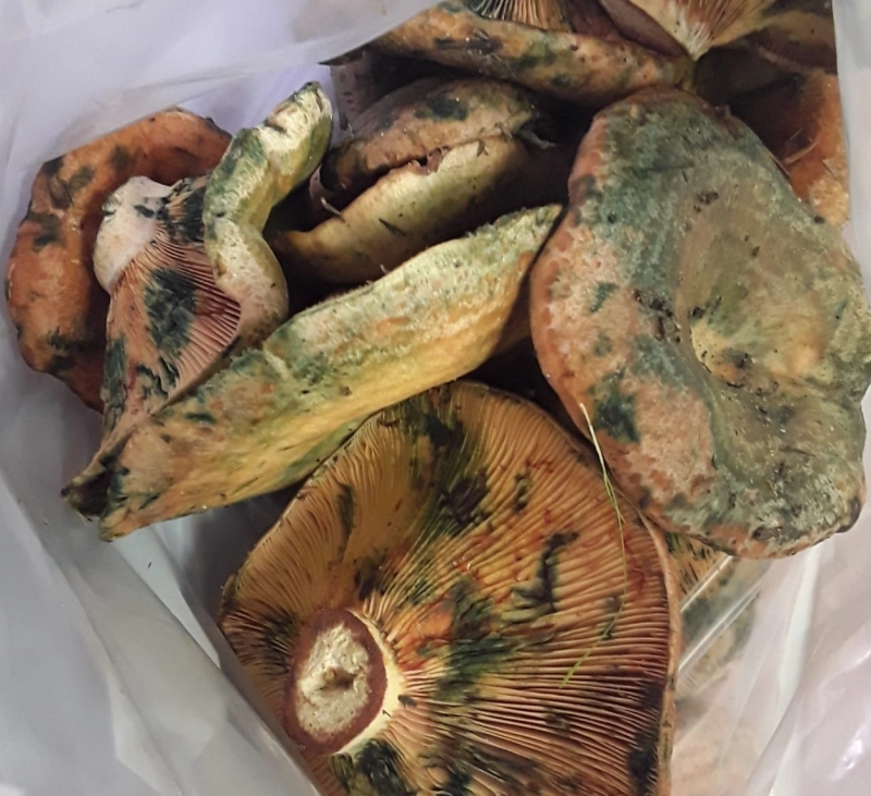 PATATAS CON NÁSCALOS