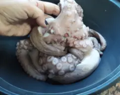 Step <p><br><br><br /><br />
</p><p>Lavamos el pulpo con agua fría. Separamos los tentáculos, dejándolos enteros, y desechamos la cabeza, mi marido me dice que no la tire, osea que la meto al vaso también.</p> illustration