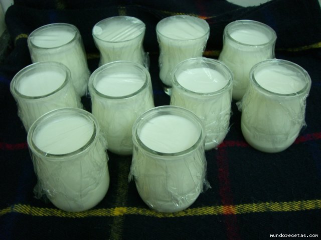 Yogur cremoso Light Thermomix®
