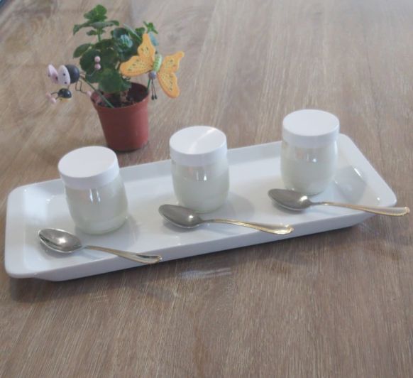 Yogur Natural en Varoma (Sólo TM6)