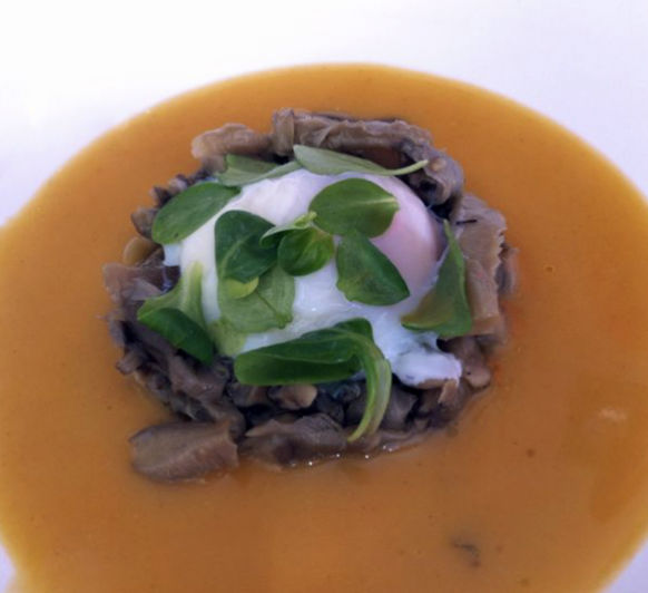 SETAS DE TEMPORADA CON YEMA DE HUEVO Y CREMA SUAVE DE AJO